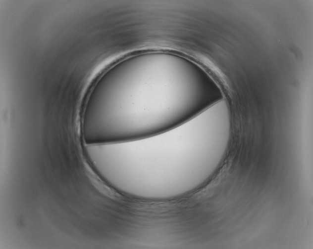 X0000113591372200909181039