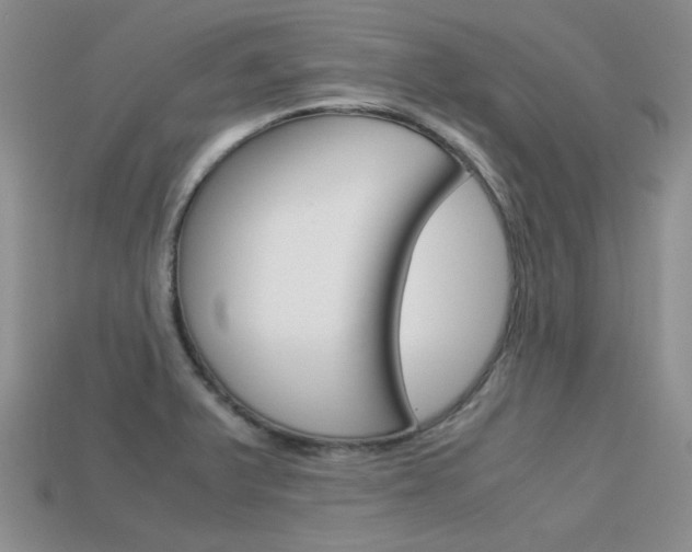X0000113591375200909181039