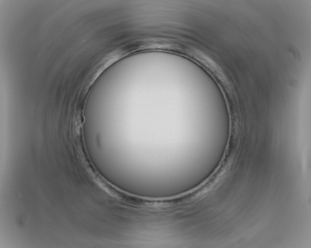 X0000113591377200909181039