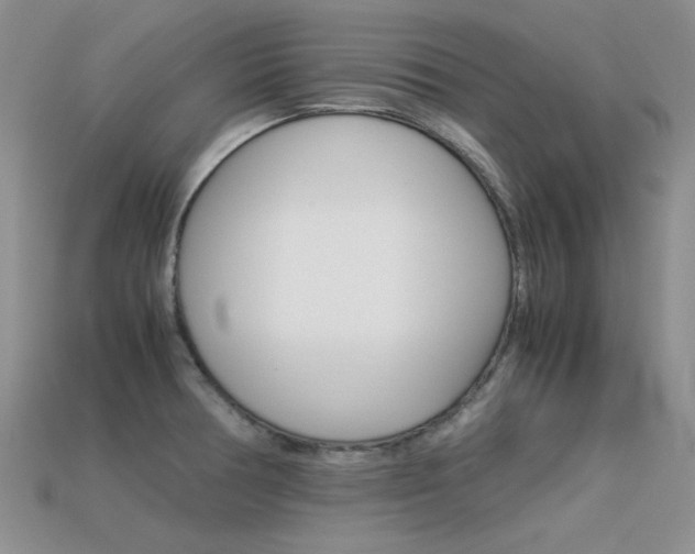 X0000113591378200909181039