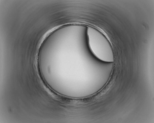 X0000113591379200909181039
