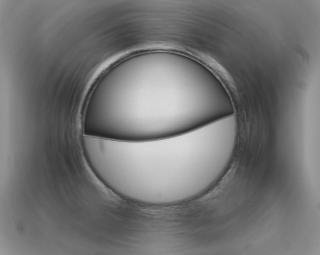 X0000113591380200909181039