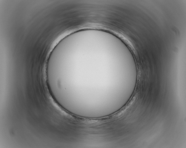 X0000113591382200909181039