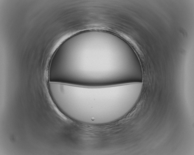X0000113591383200909181039
