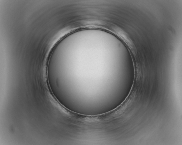 X0000113591384200909181039