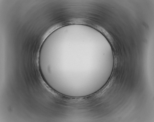 X0000113591386200909181039