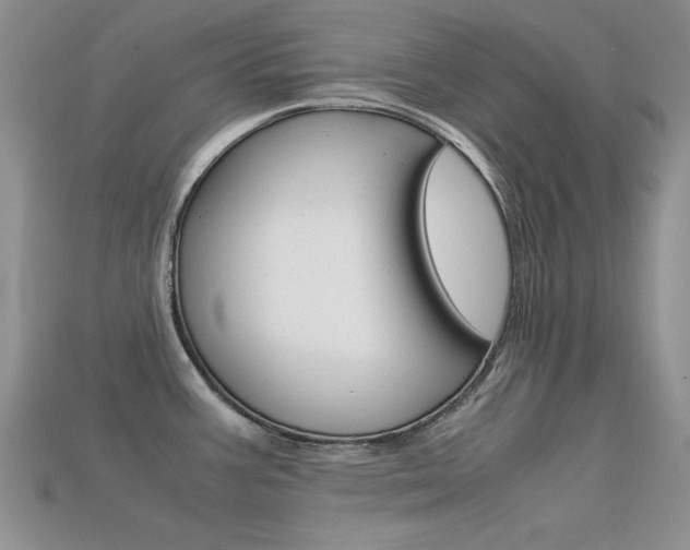 X0000113591387200909181039