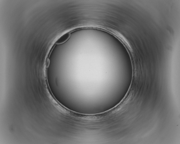 X0000113591388200909181039