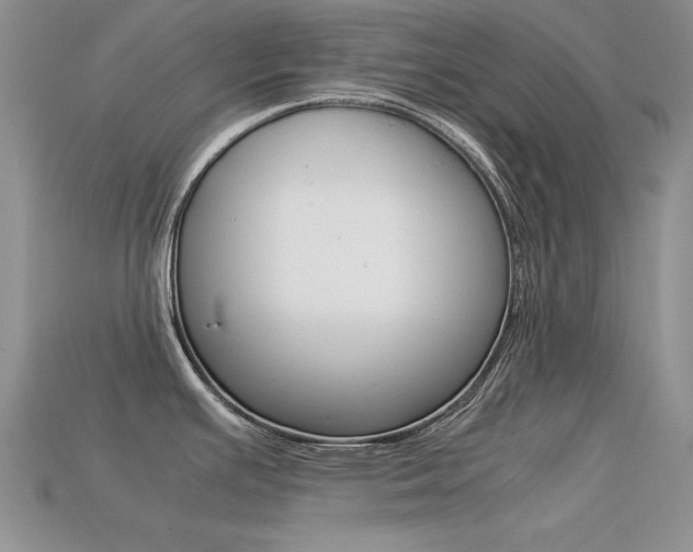 X0000113591391200909181039