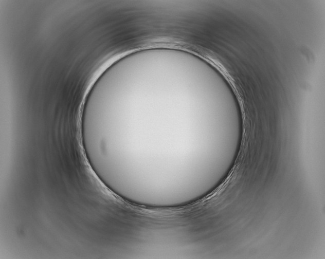 X0000113591392200909181039