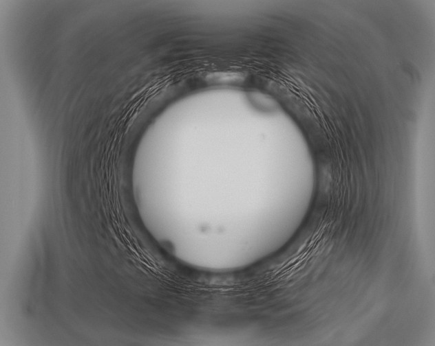 X0000113591393200909181038