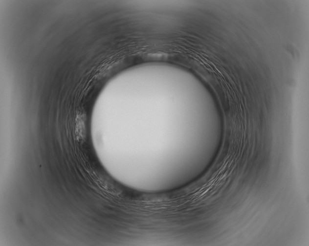 X0000113591394200909181038