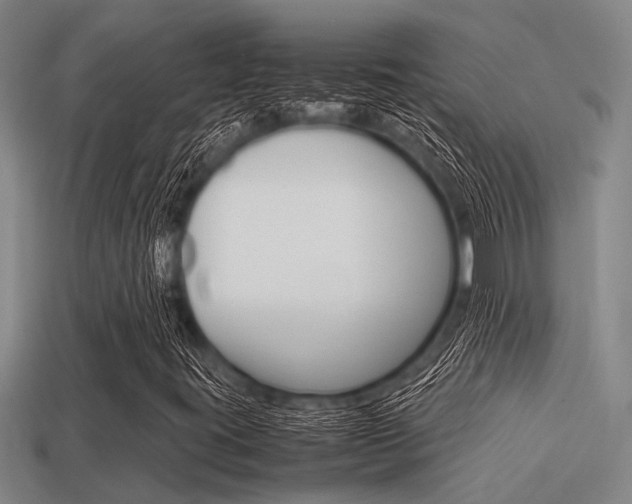 X0000113591395200909181038