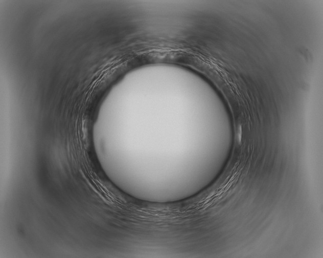 X0000113591396200909181038