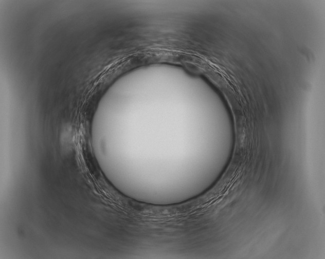 X0000113591397200909181038