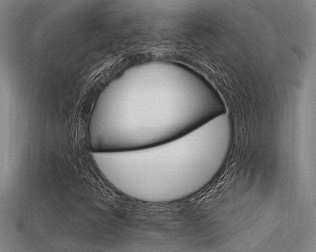 X0000113591398200909181038