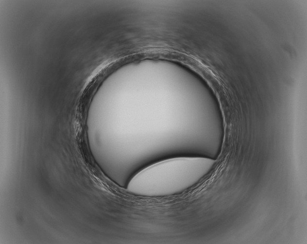 X0000113591400200909181039
