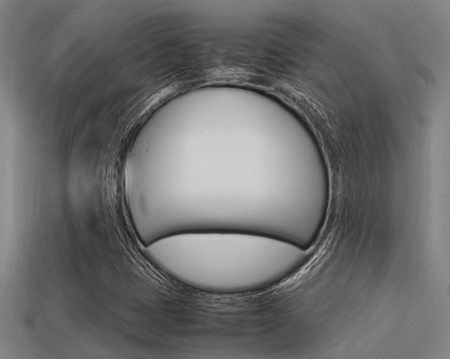X0000113591401200909181039