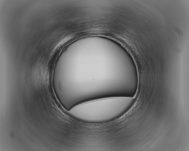 X0000113591402200909181039