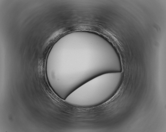 X0000113591403200909181039