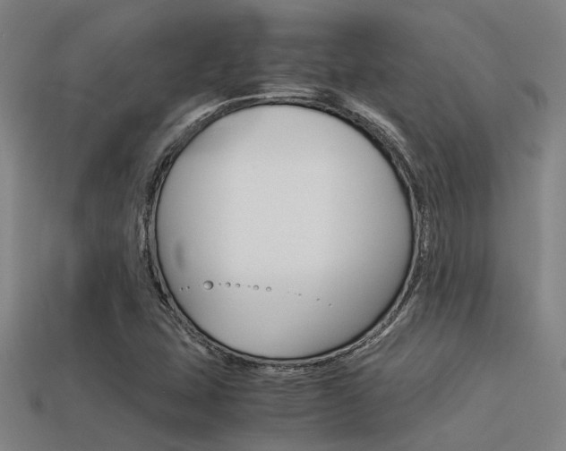 X0000113591407200909181039