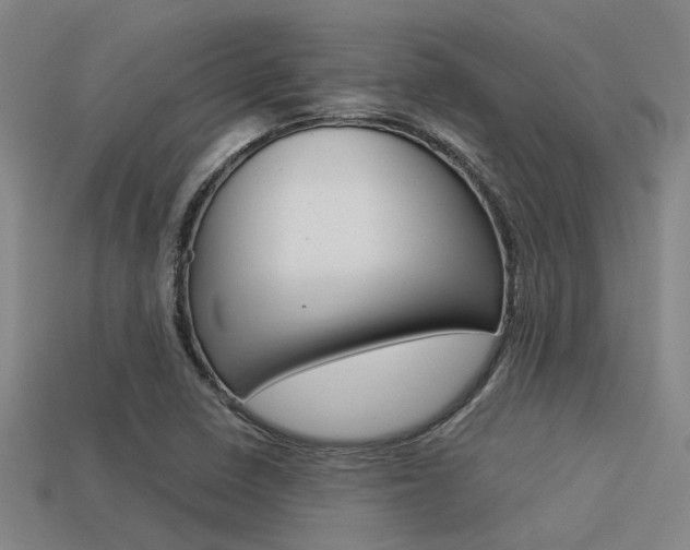 X0000113591410200909181039