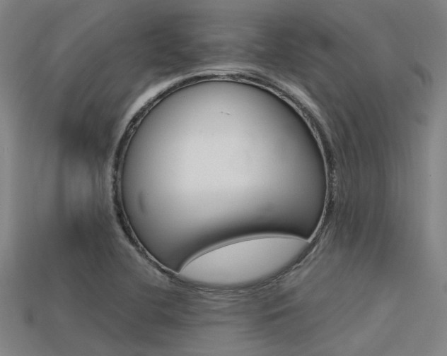 X0000113591412200909181039