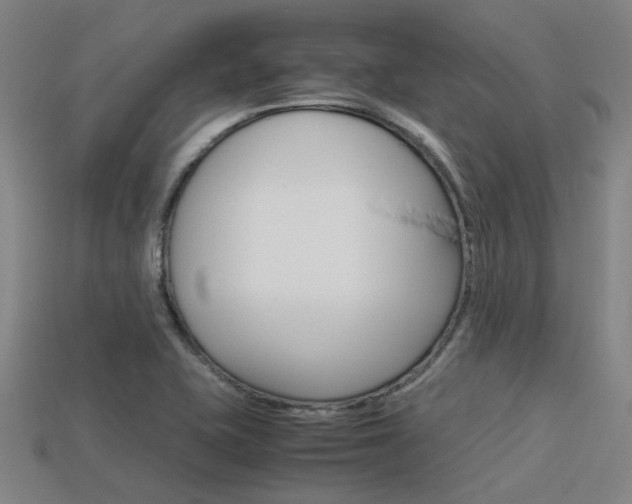 X0000113591415200909181039