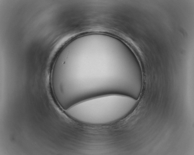 X0000113591416200909181039