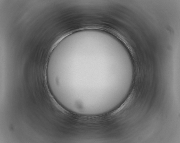 X0000113591417200909181039