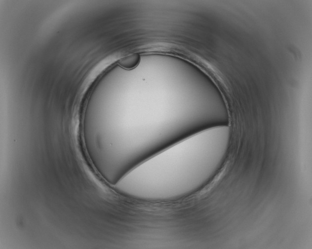 X0000113591418200909181039