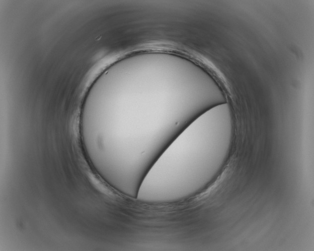 X0000113591421200909181039
