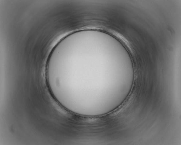 X0000113591423200909181039