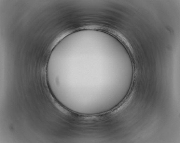 X0000113591425200909181039