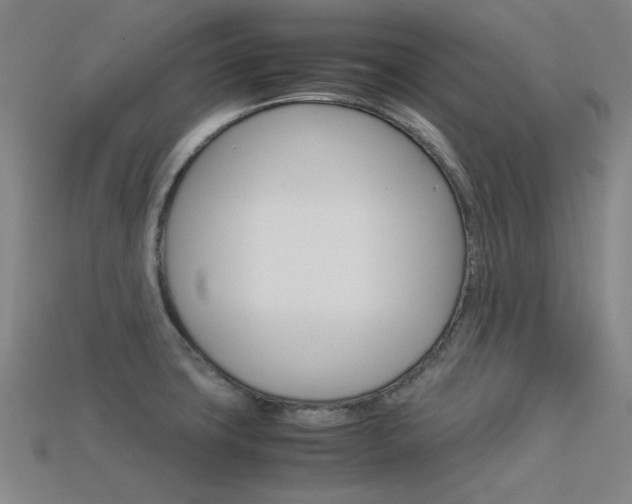 X0000113591427200909181039