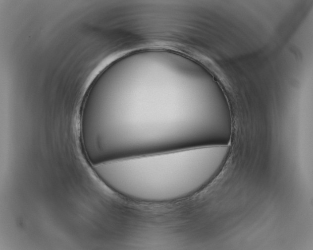 X0000113591428200909181039