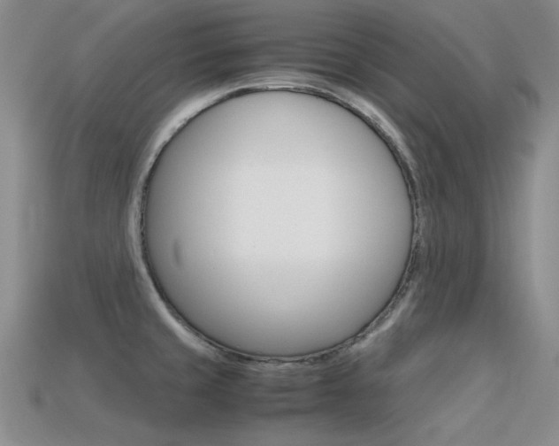 X0000113591429200909181039