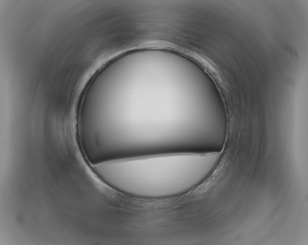 X0000113591430200909181039