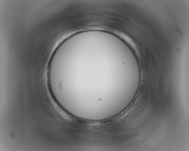 X0000113591431200909181039