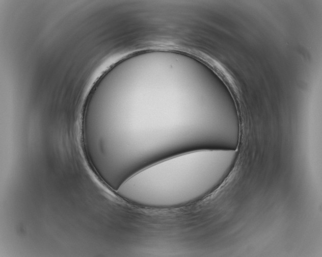 X0000113591432200909181039