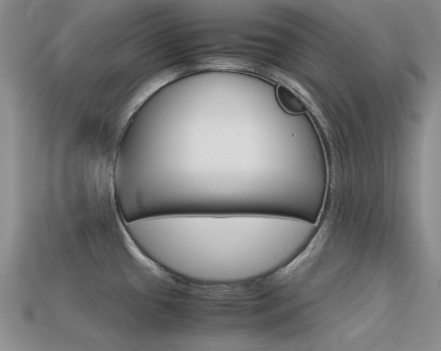 X0000113591433200909181039
