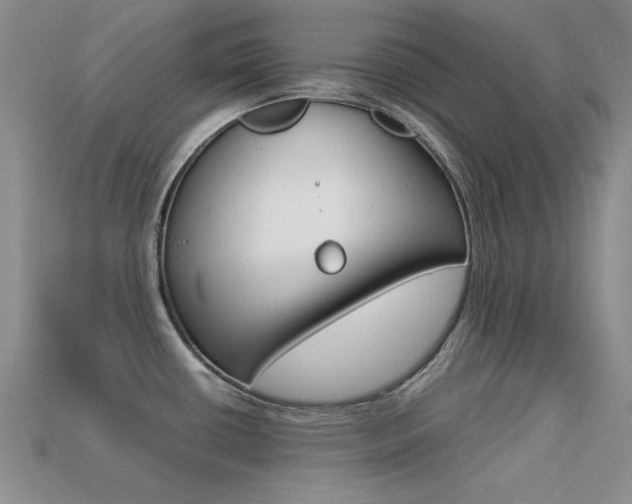X0000113591434200909181039