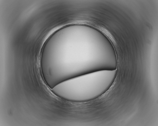 X0000113591436200909181039