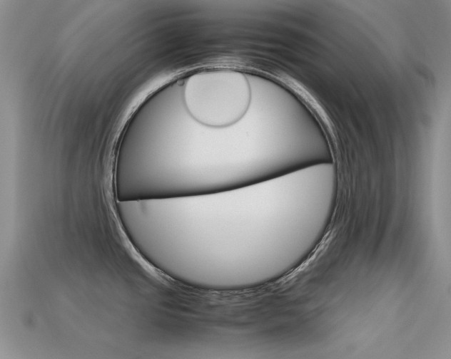 X0000113591437200909181039
