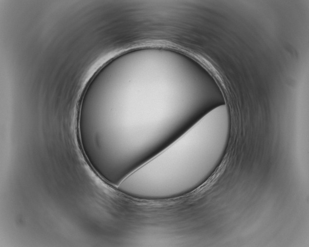 X0000113591438200909181039