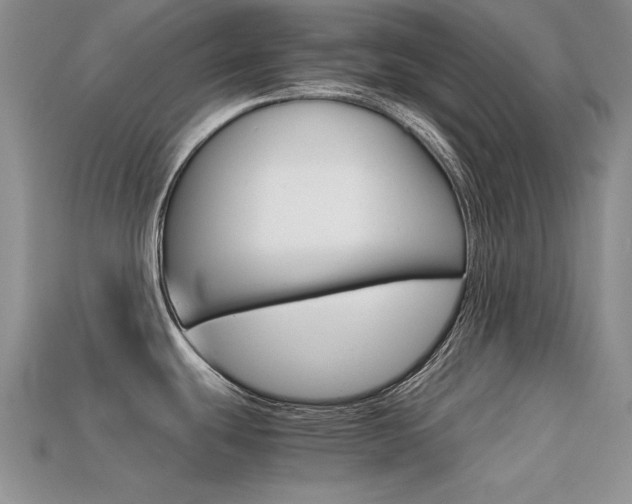 X0000113591439200909181039