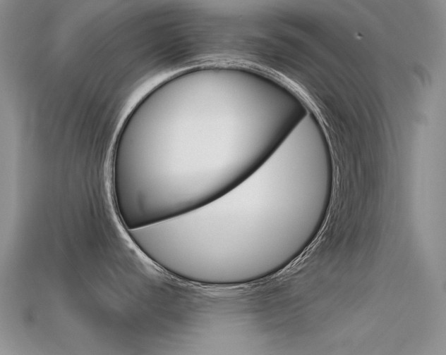 X0000113591440200909181039