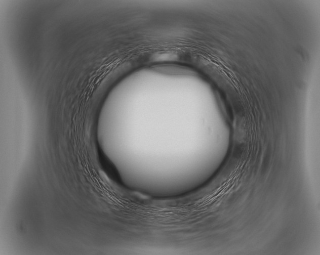 X0000113591441200909181038