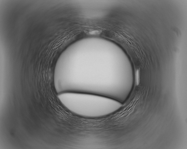 X0000113591443200909181038