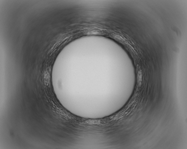X0000113591446200909181038